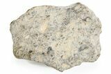 Lunar Meteorite ( g) - NWA #263815-1